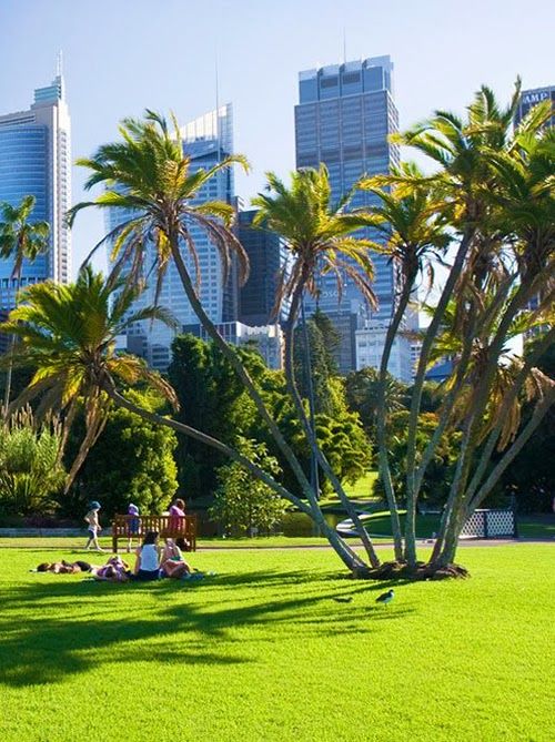 royal botanic gardens-Top 10 Places To Visit In Sydney