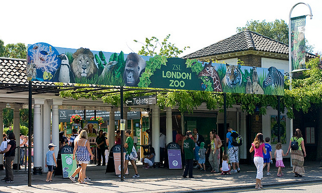 London-Zoo-Zoological-Society-of-London1