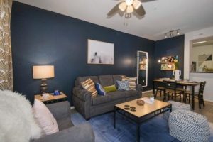The Verge Orlando Apartments - FL